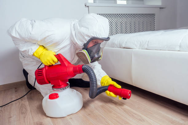 Trusted Grovetown, GA Pest Control Experts